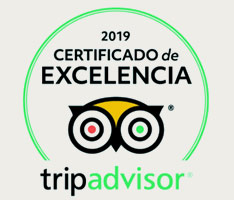 excelencia tripadvisor 2019